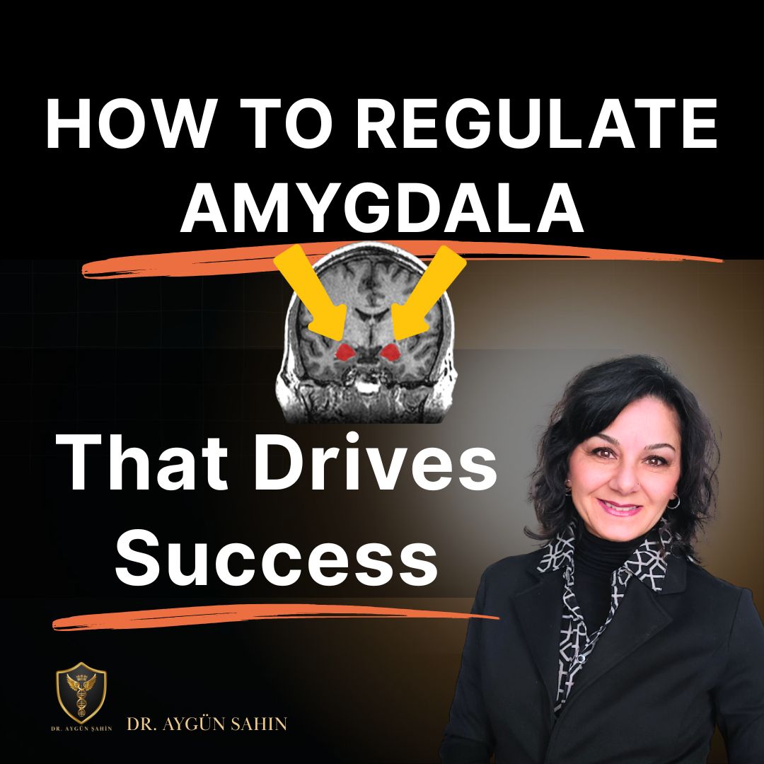 How to regulate amygdala that drives success - Dr. Ayguen Sahin - drayguensahin