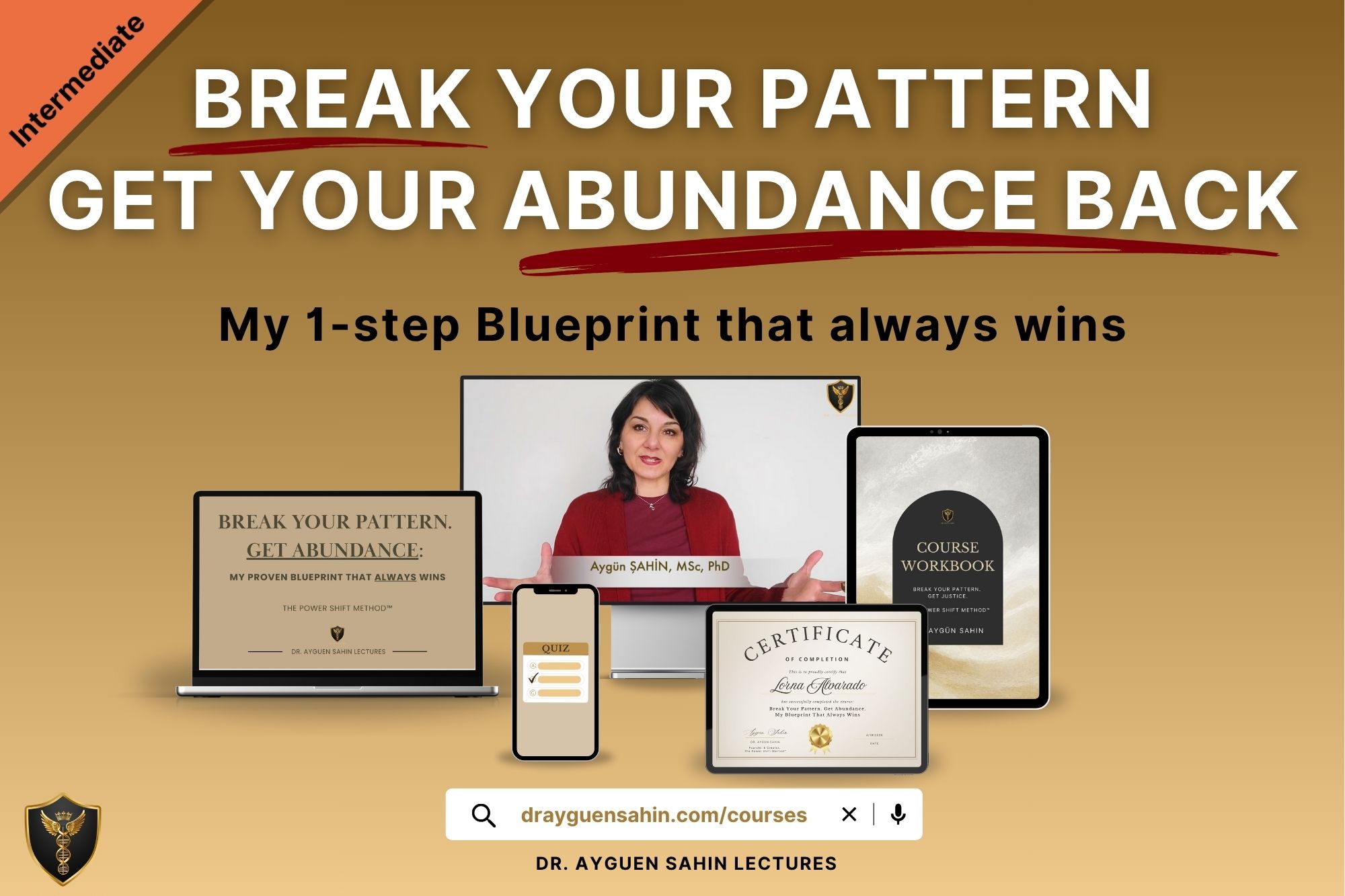 Break your pattern get your abundance back - 1step blueprint - intermediate course - drayguensahin.com