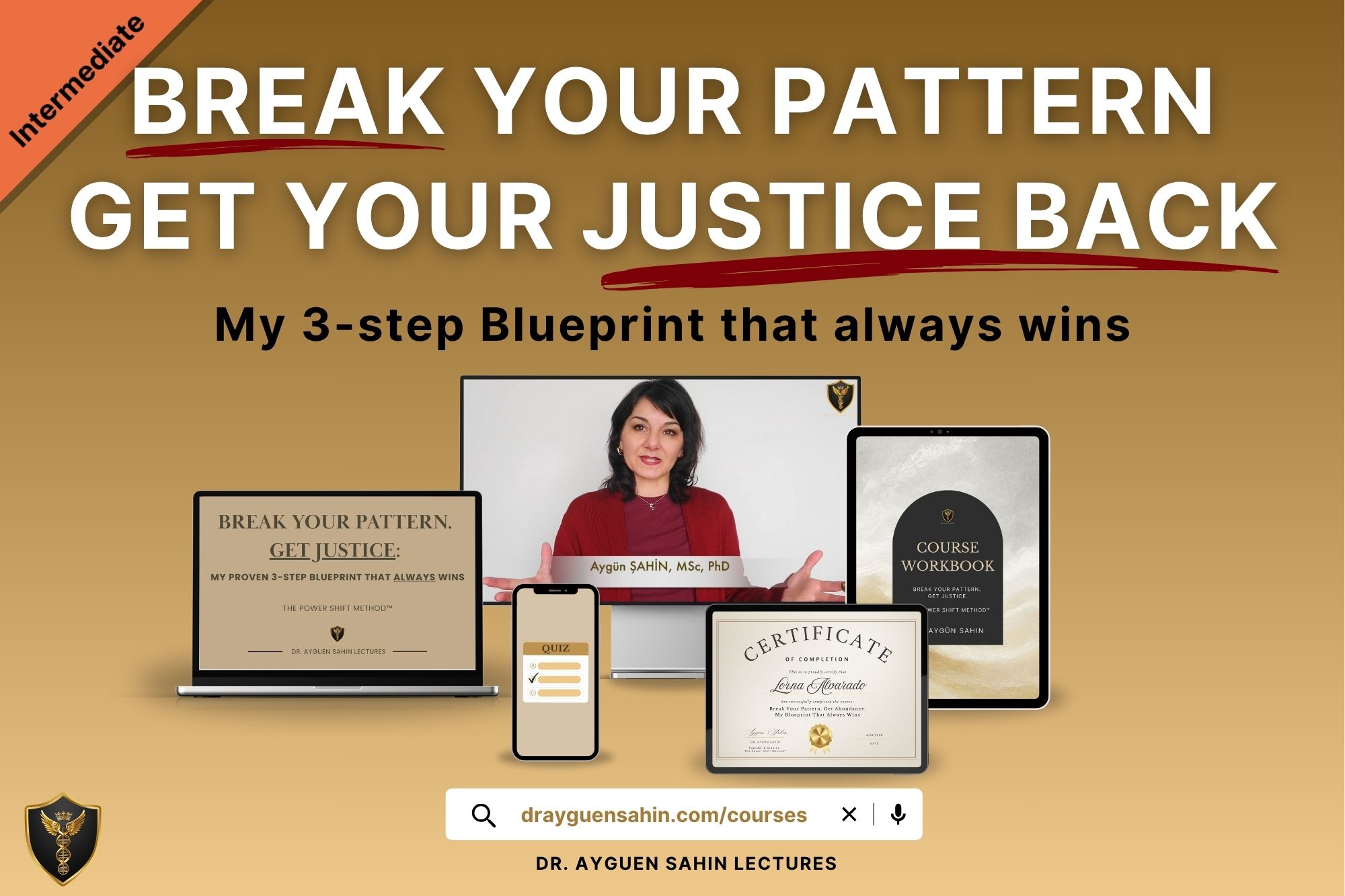 Break your pattern get your justice back - 3step blueprint - intermediate course - drayguensahin.com