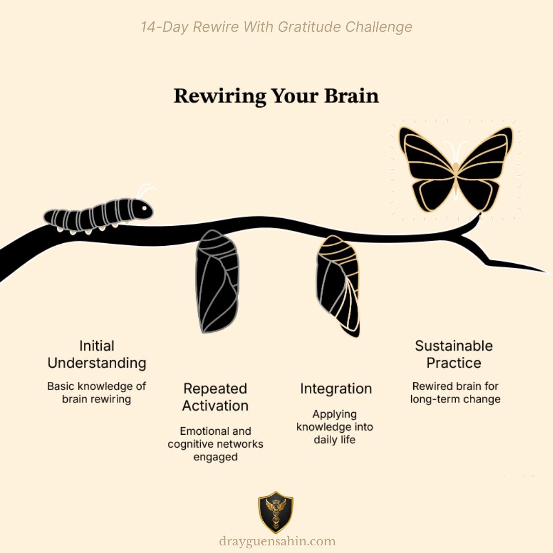 Rewiring your brain_Dr. Ayguen Sahin Posts - drayguensahin