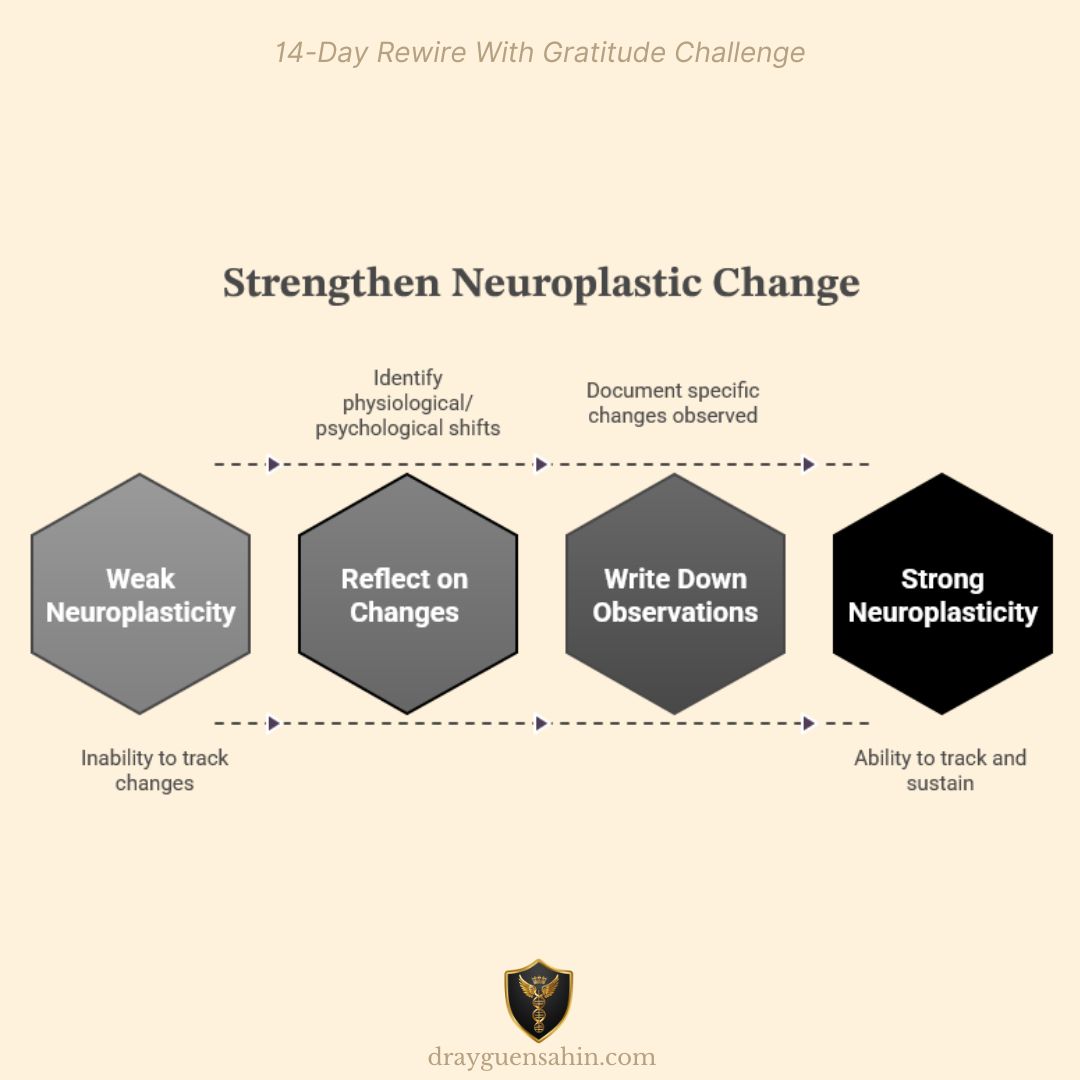 Strengthen neuroplastic change_Dr. Ayguen Sahin Posts - drayguensahin