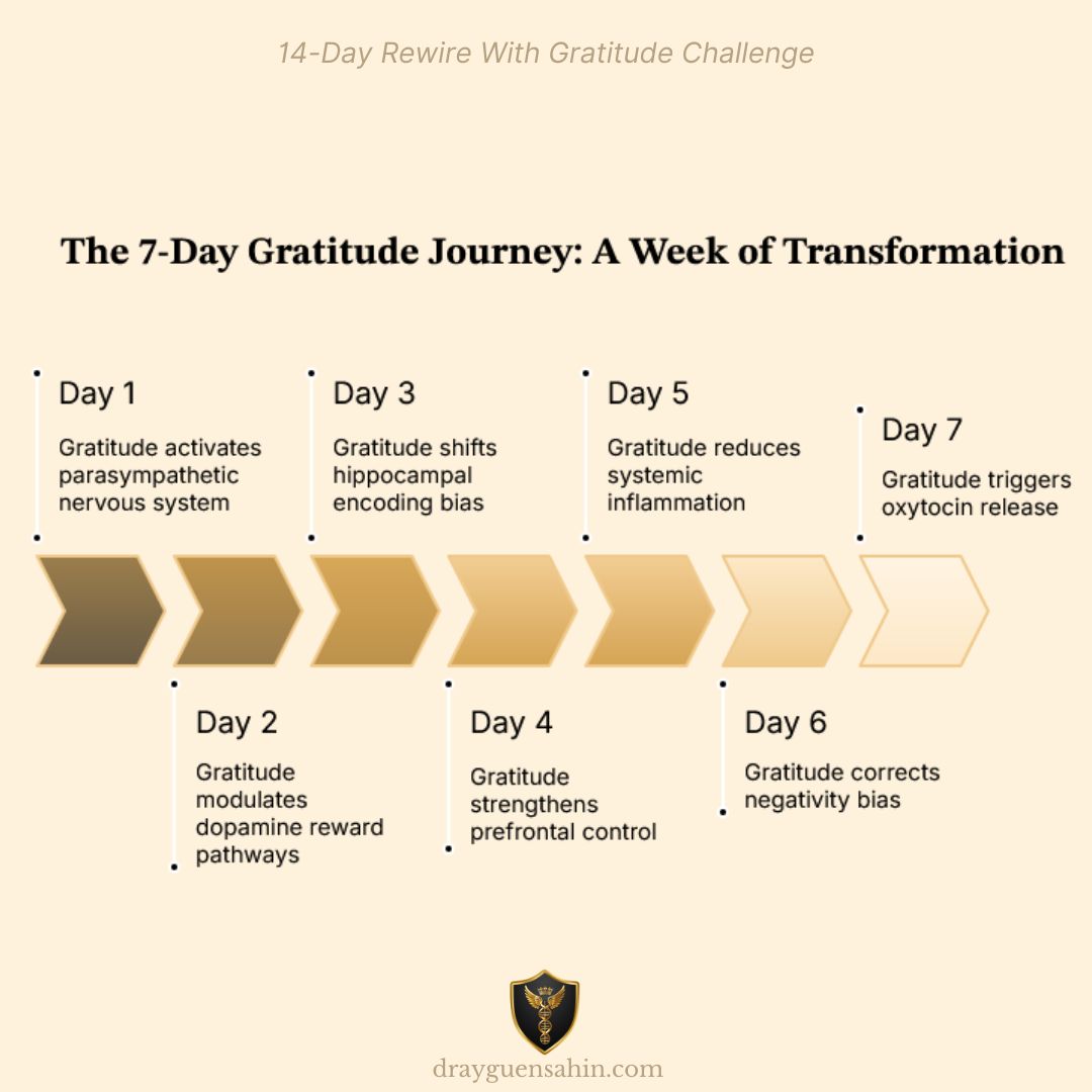 The 7-day gratitude journey_a week of transformation_Dr. Ayguen Sahin Posts - drayguensahin