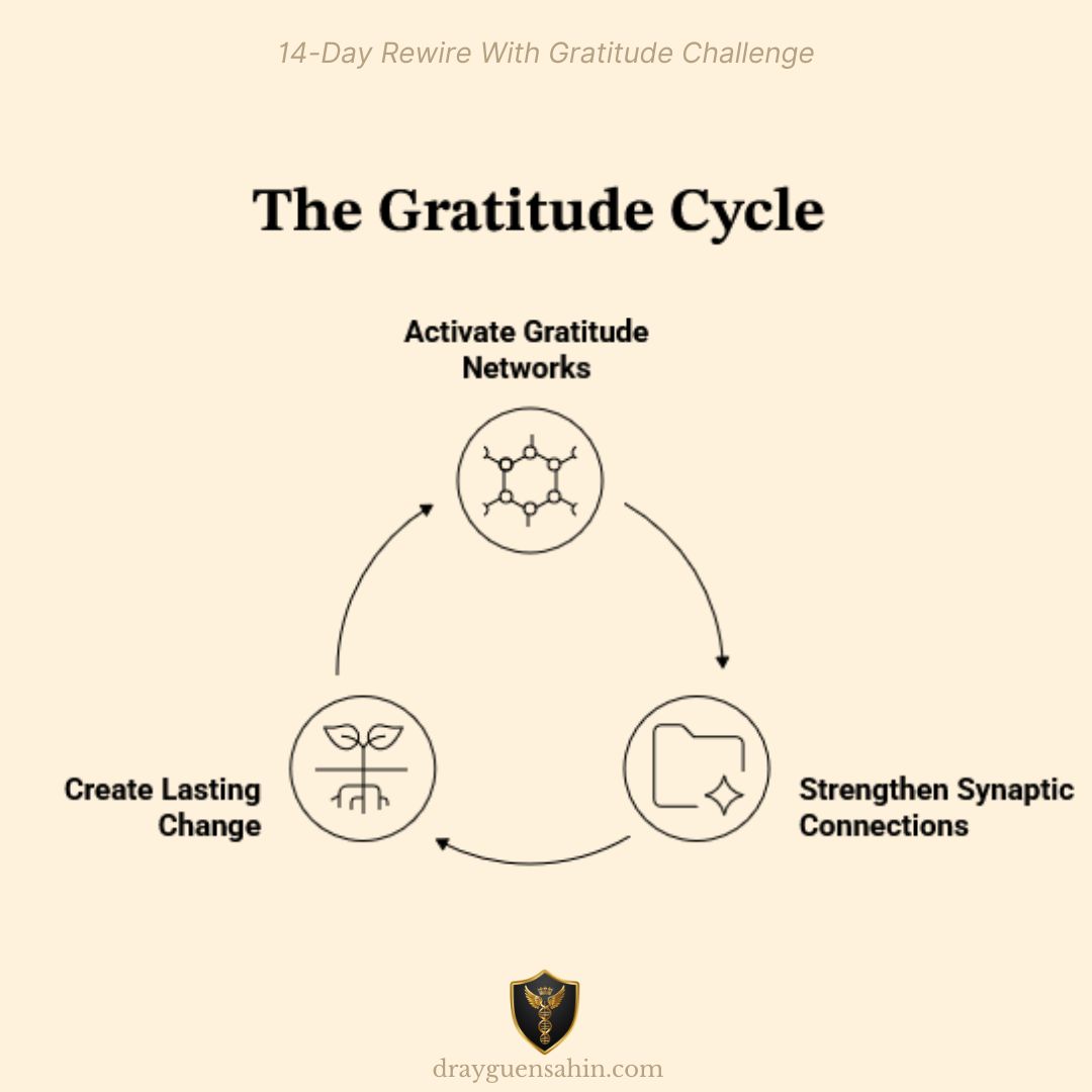 The gratitude cycle_Dr. Ayguen Sahin Posts - drayguensahin