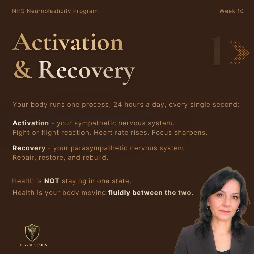 Dr. Ayguen Sahin - Health Regulation Audit - drayguensahin