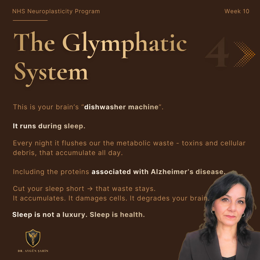 Dr. Ayguen Sahin - Health Regulation Audit - drayguensahin