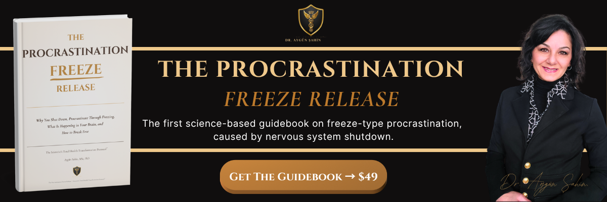 The Procrastination Freeze Release Guidebook_Dr Ayguen Sahin_drayguensahin